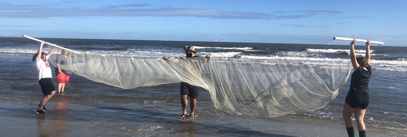 Banner Beach Nets